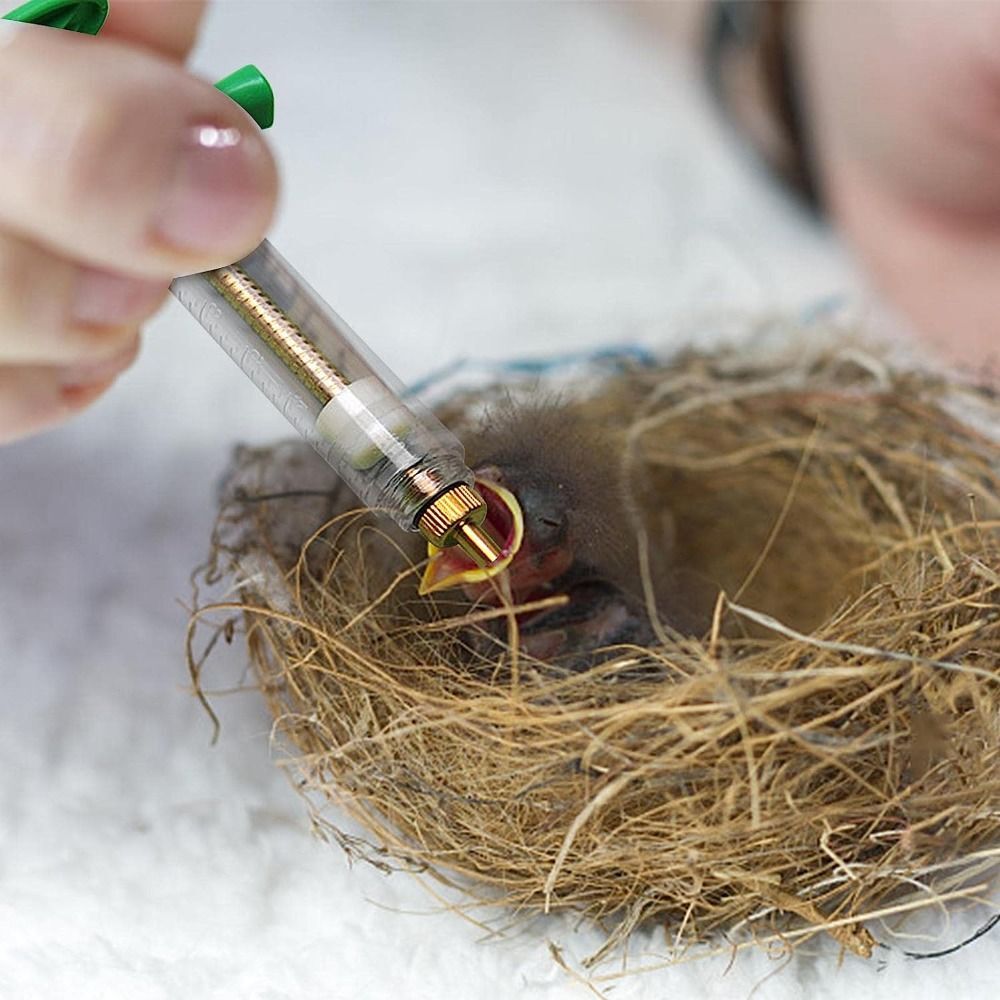 With Accurate Scale Baby Birds Feeding Injector Kit Bird