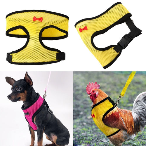Supplies Adjustable Pet Matching Collars Bow Hen Belt Chicken Vest Harness