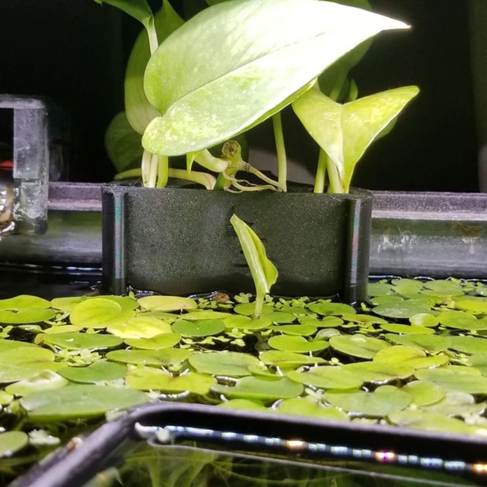 Aquarium Fish Tank Emerging Plant Holder Plant Cultivation Rack Storage Rack