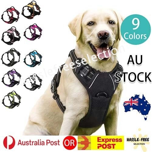 Adjustable No-pull Outdoor Harness Vest S-XL Front Range Mesh Puppy Dog Pet