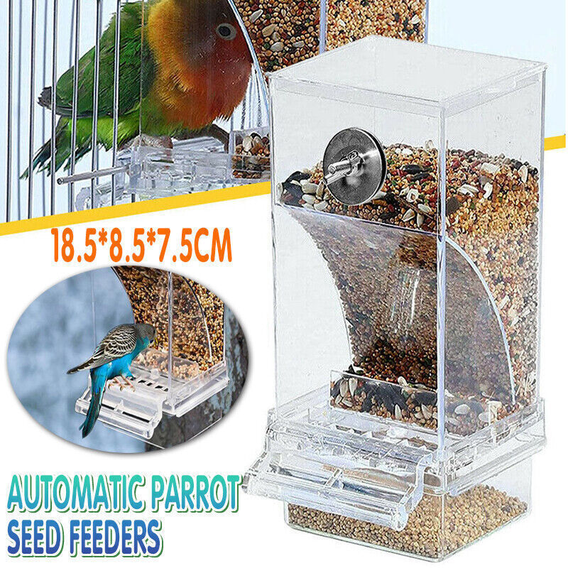 No Mess Automatic Bird Feeder Transparent Food Container Cage Parrot Feeder Accessories for Small Birds Parrot