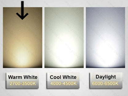 10 x 100W Clear Light Globes Bulbs E27 Screw Incandescent Dimmable Warm White