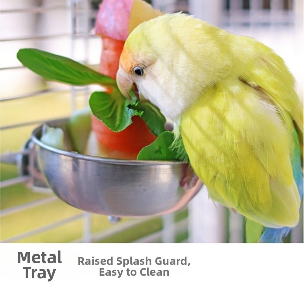 Large Capacity Bird Food Holder Splash-Proof Vegetable Skewer  Small Parrot