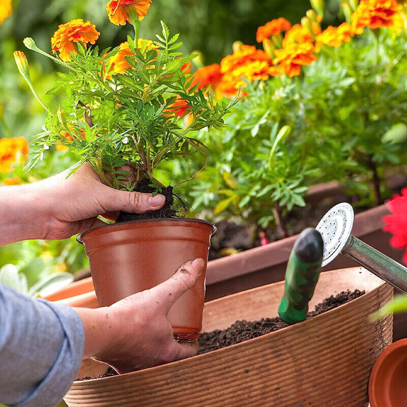 100PCS Plastic Plant Flower Garden Pots Nursery Seedlings Pot Growing Container
