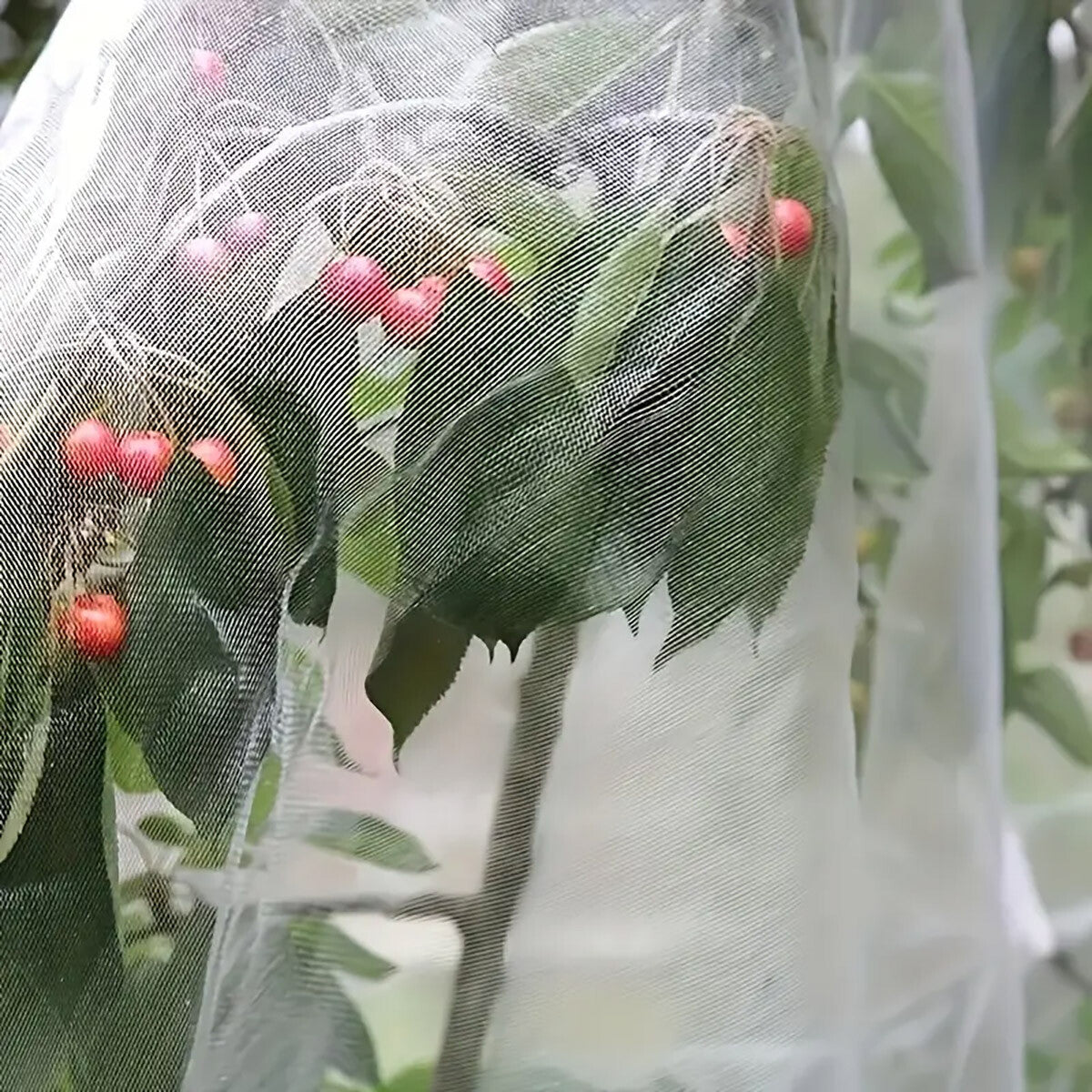 Garden Netting Insect Bug Fly Fruit Mesh Net Vegetable Plant Protection Cover AU