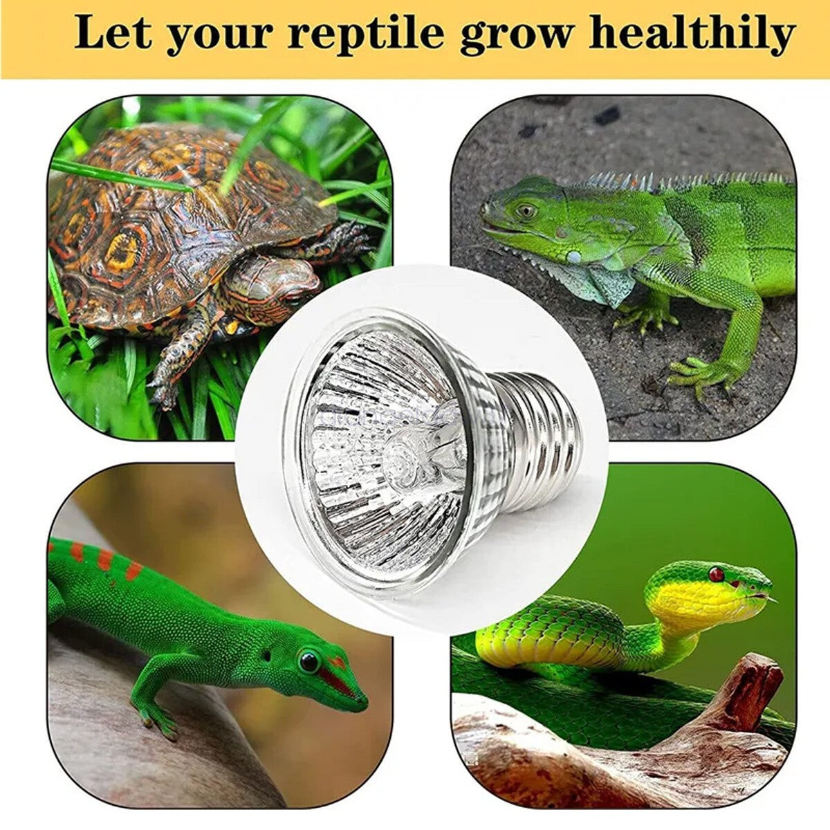 25/50/75W Heat Lamp Reptile Light Bulb UV UVB+UVA Tortoise Calcium Supplement