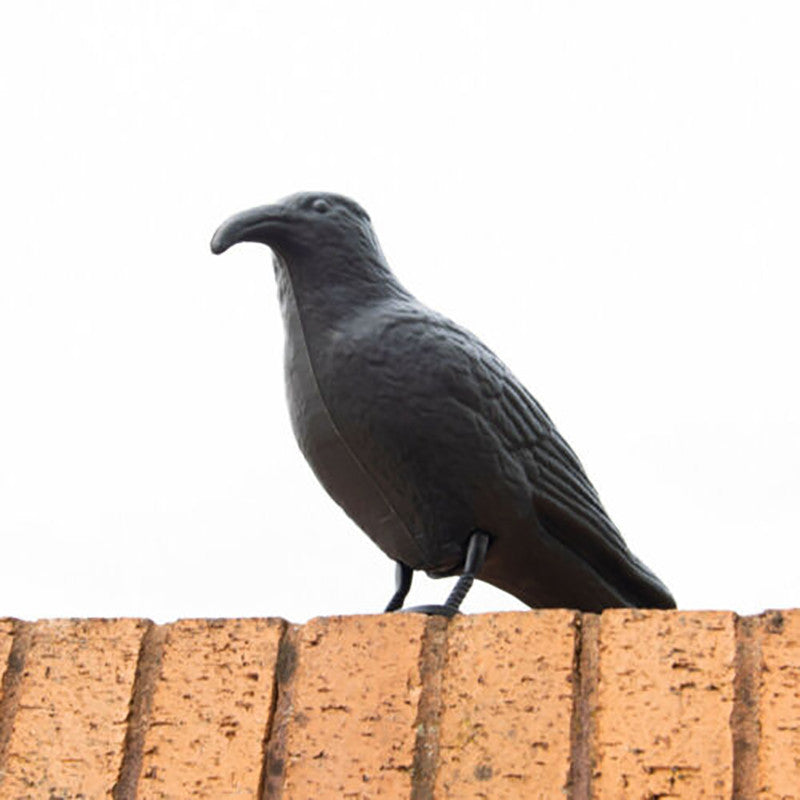 Pigeon Scarer Life Size Decoy Crow Pest Control Repellent Deterrent Scarecrow AU