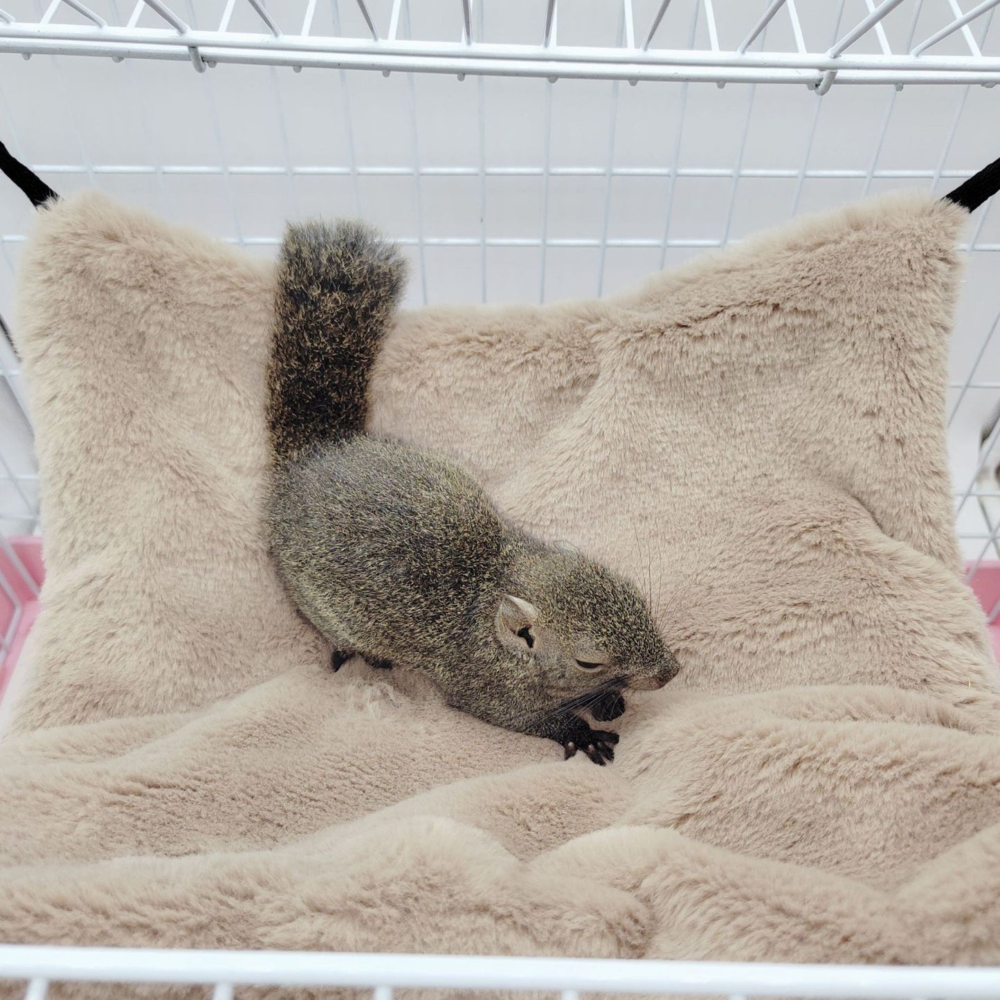 Guinea Pig Rat Hammock Hamster Ferret Hanging Nest Mice Bed Toy Warmer House