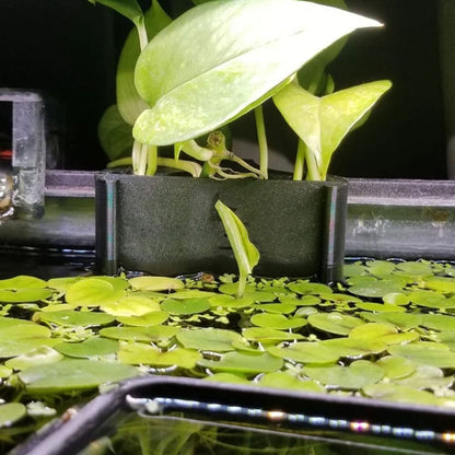Aquarium Fish Tank Emerging Plant Holder Plant Cultivation Rack Storage Rack