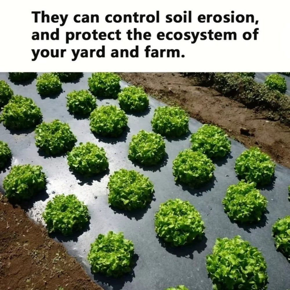 Pre-Punched Holes Perforated Plastic Mulch Film  Agricultural