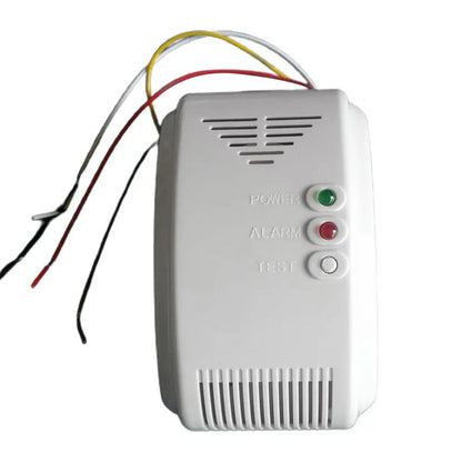 12V Gas Detector Alarm Carbon Monoxide Gas Detector Natural Motor Home Camper