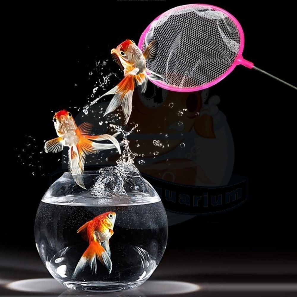 Plastic Aquarium Shrimp Net Random Color Fine Net Mesh  Small Ponds