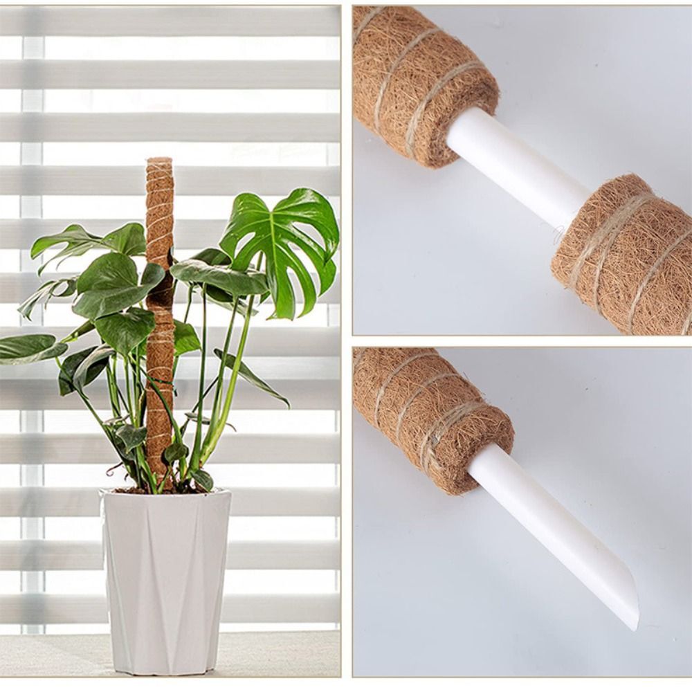 To Grow Upwards Moss Pole 32/42/52cm Plants Climbing Support  Indoor