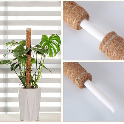 To Grow Upwards Moss Pole 32/42/52cm Plants Climbing Support  Indoor