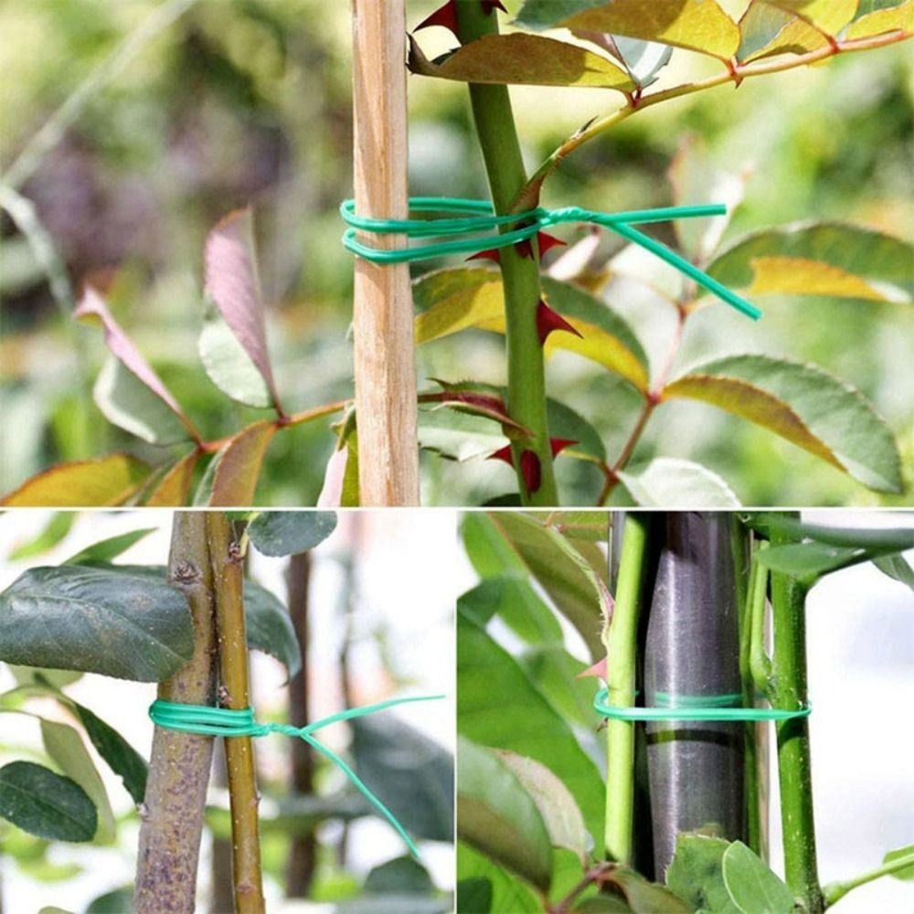 Plant Twist Ties Power Wire Loop Tape 20/50/100m Plant Bundle Iron Wire