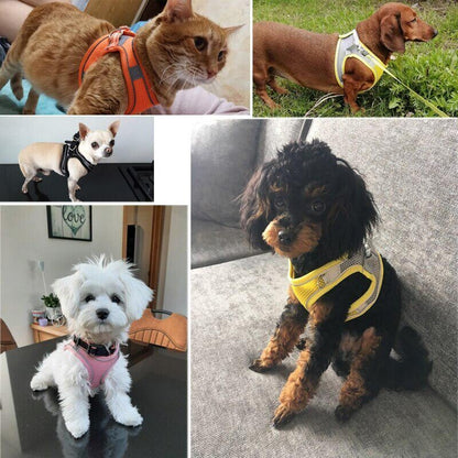 Soft Mesh Step in Dog Harness+Lead Set Reflective Breathable Vest for Puppy Cats