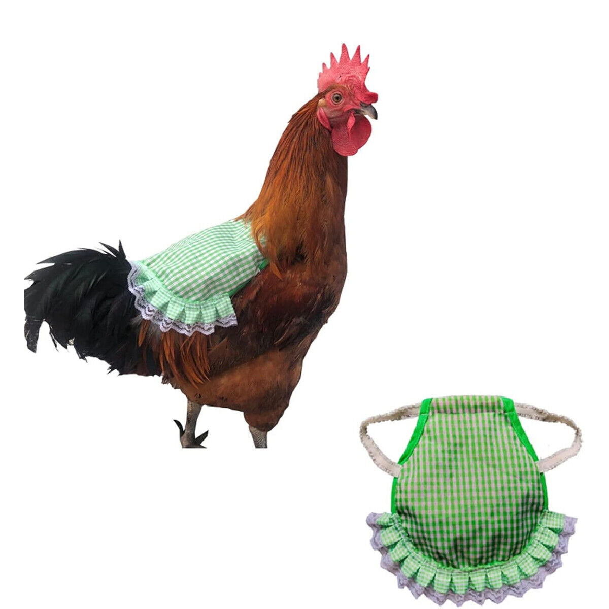 Chicken Hen Apron Feather Protector 5pcs Poultry Saddle Cover for Birds Rooster
