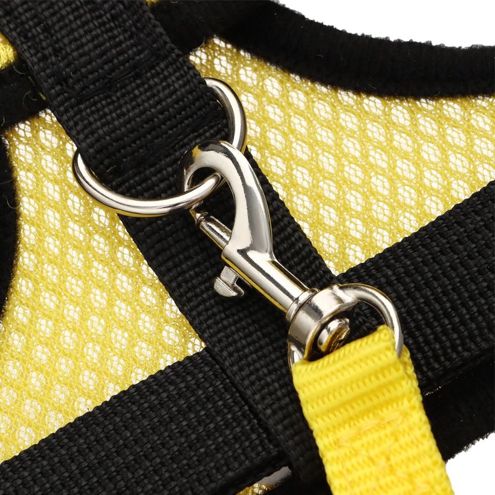 Supplies Adjustable Pet Matching Collars Bow Hen Belt Chicken Vest Harness
