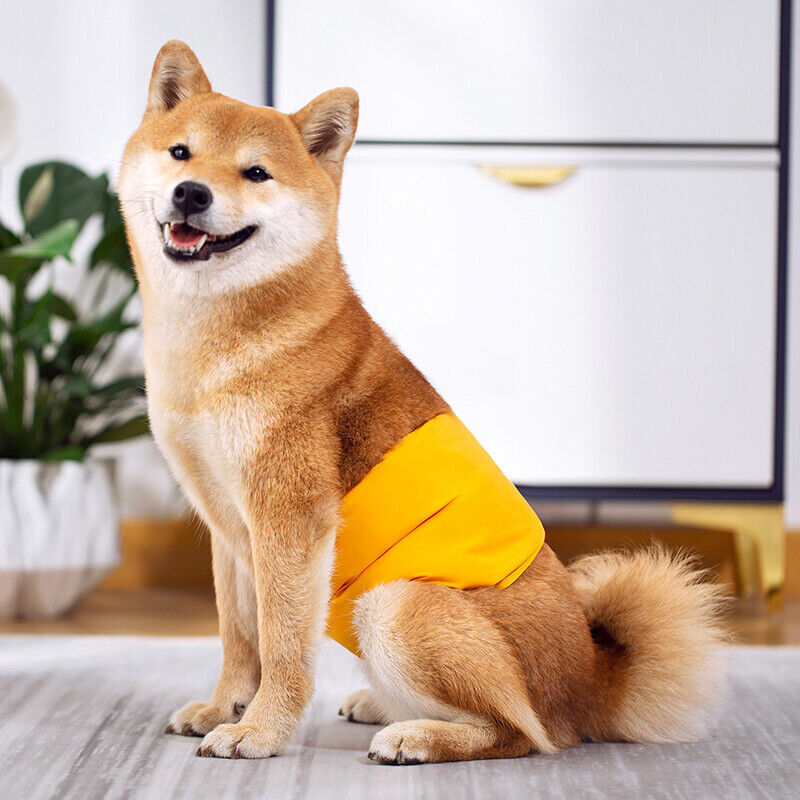XS-XL Male Dog Puppy Nappy Diaper Belly Wrap Band Sanitary Pants  Underpants  AU