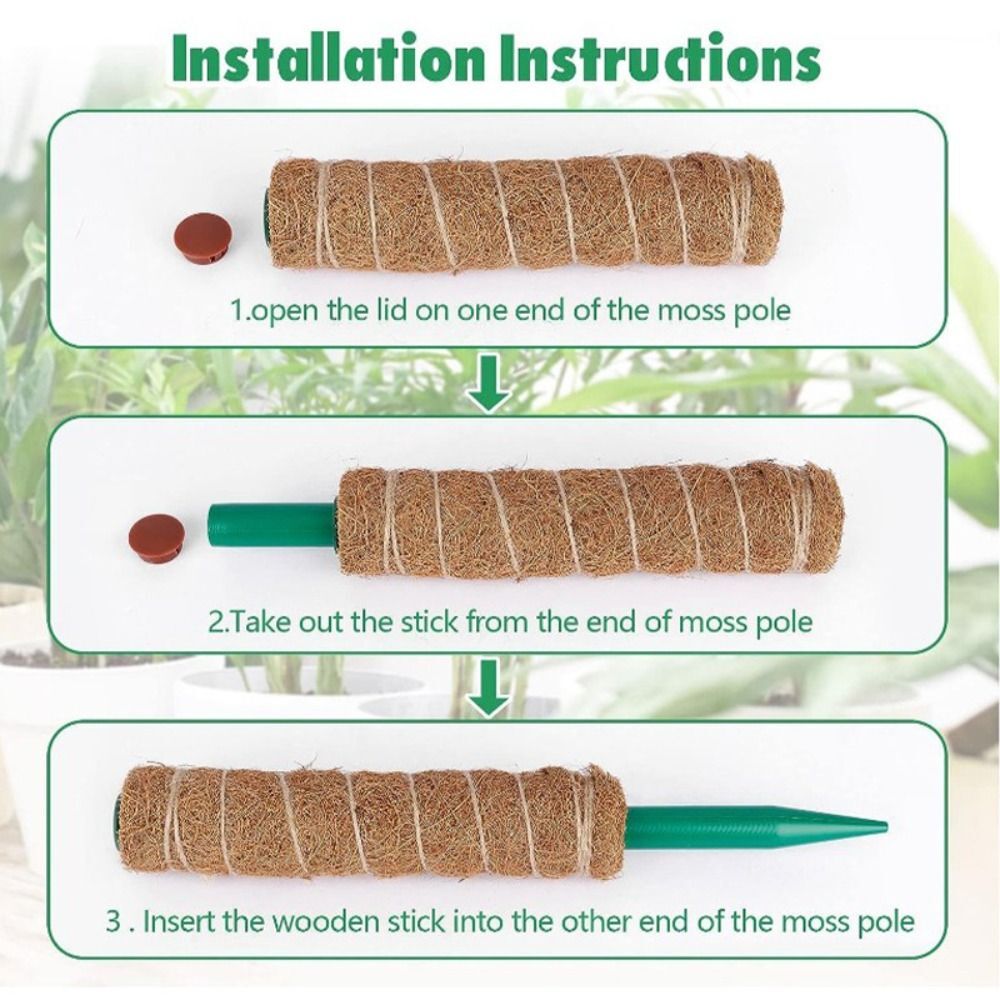 To Grow Upwards Moss Pole 32/42/52cm Plants Climbing Support  Indoor