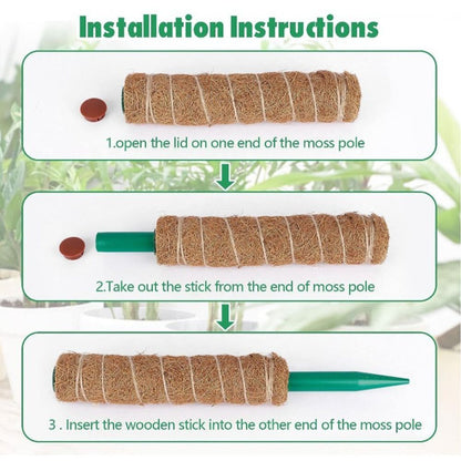 To Grow Upwards Moss Pole 32/42/52cm Plants Climbing Support  Indoor
