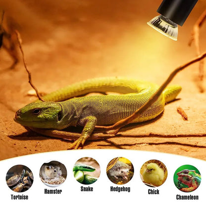 25/50/75W Heat Lamp Reptile Light Bulb UV UVB+UVA Tortoise Calcium Supplement