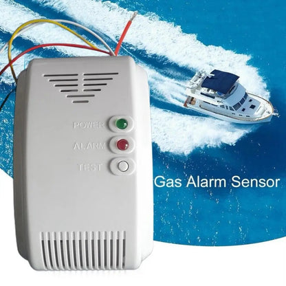 12V Gas Detector Alarm Carbon Monoxide Gas Detector Natural Motor Home Camper
