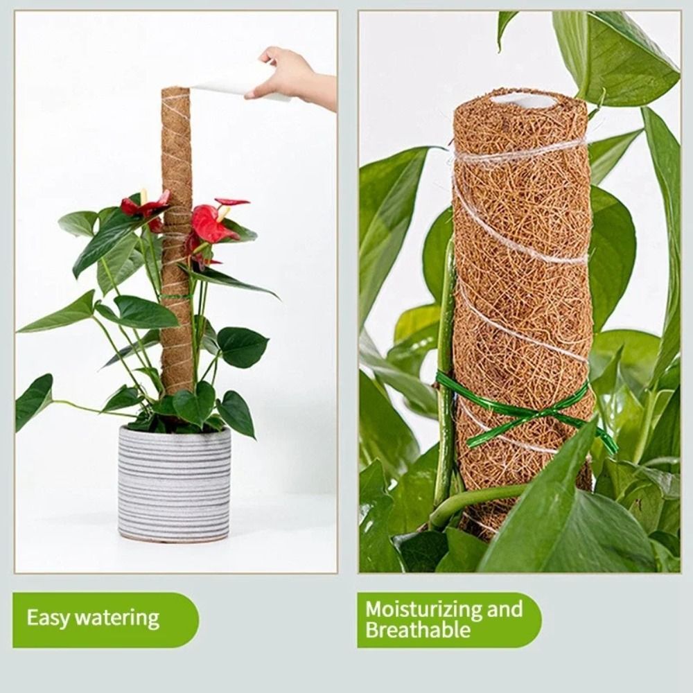 To Grow Upwards Moss Pole 32/42/52cm Plants Climbing Support  Indoor
