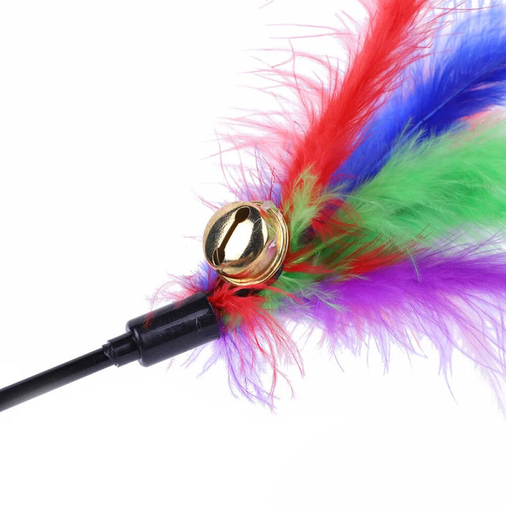 10PCS Kitten Cat Feather Toy Bell Wand Teaser Rod Interactive Play Pet Gift Toys