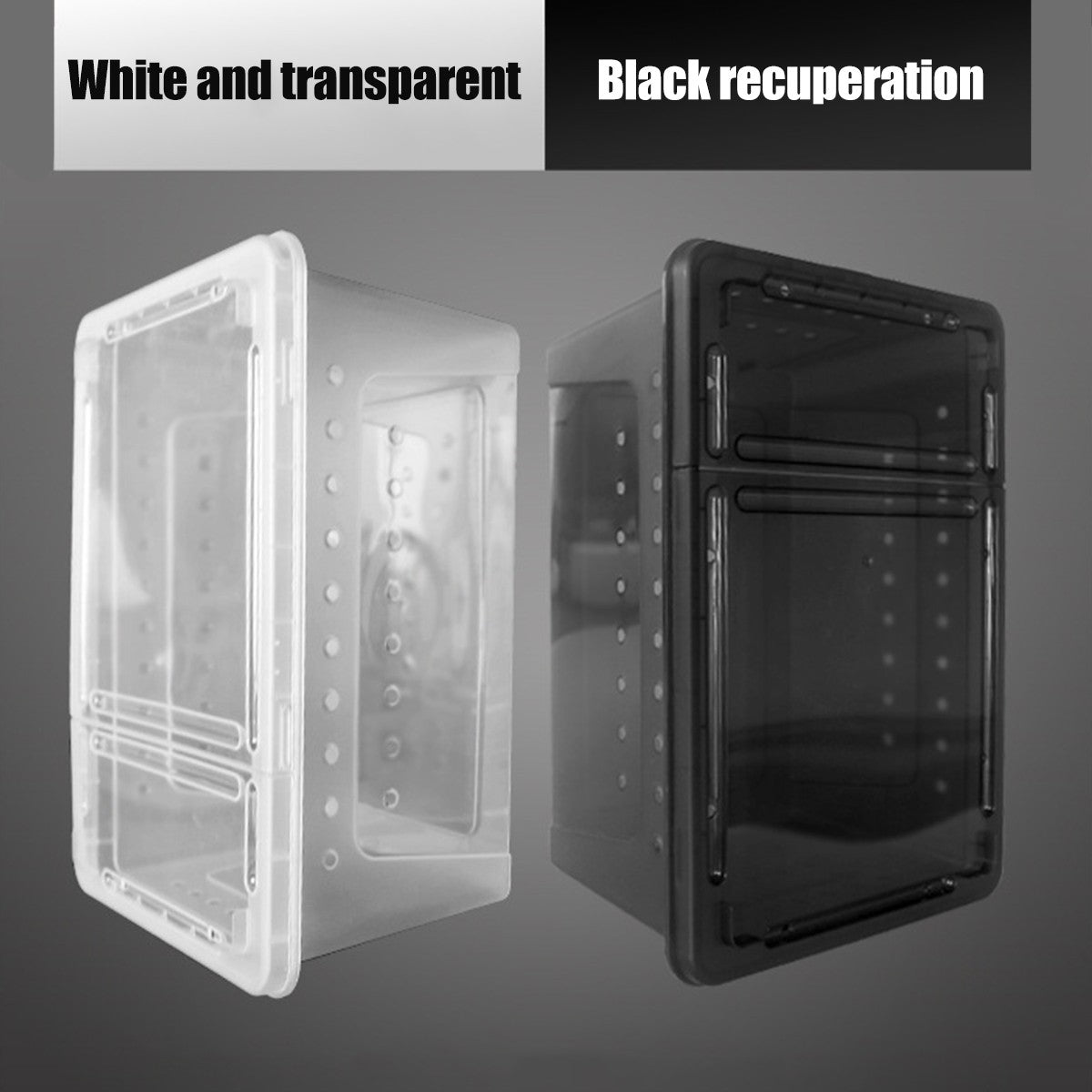 Clear Plastic Reptile Breeder Case Small Enclosure Isopod Bugs Carrier Terrarium