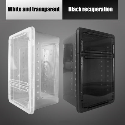 Clear Plastic Reptile Breeder Case Small Enclosure Isopod Bugs Carrier Terrarium