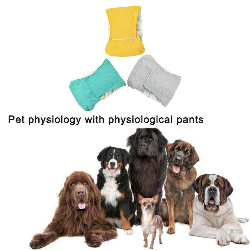 XS-XL Male Dog Puppy Nappy Diaper Belly Wrap Band Sanitary Pants  Underpants  AU