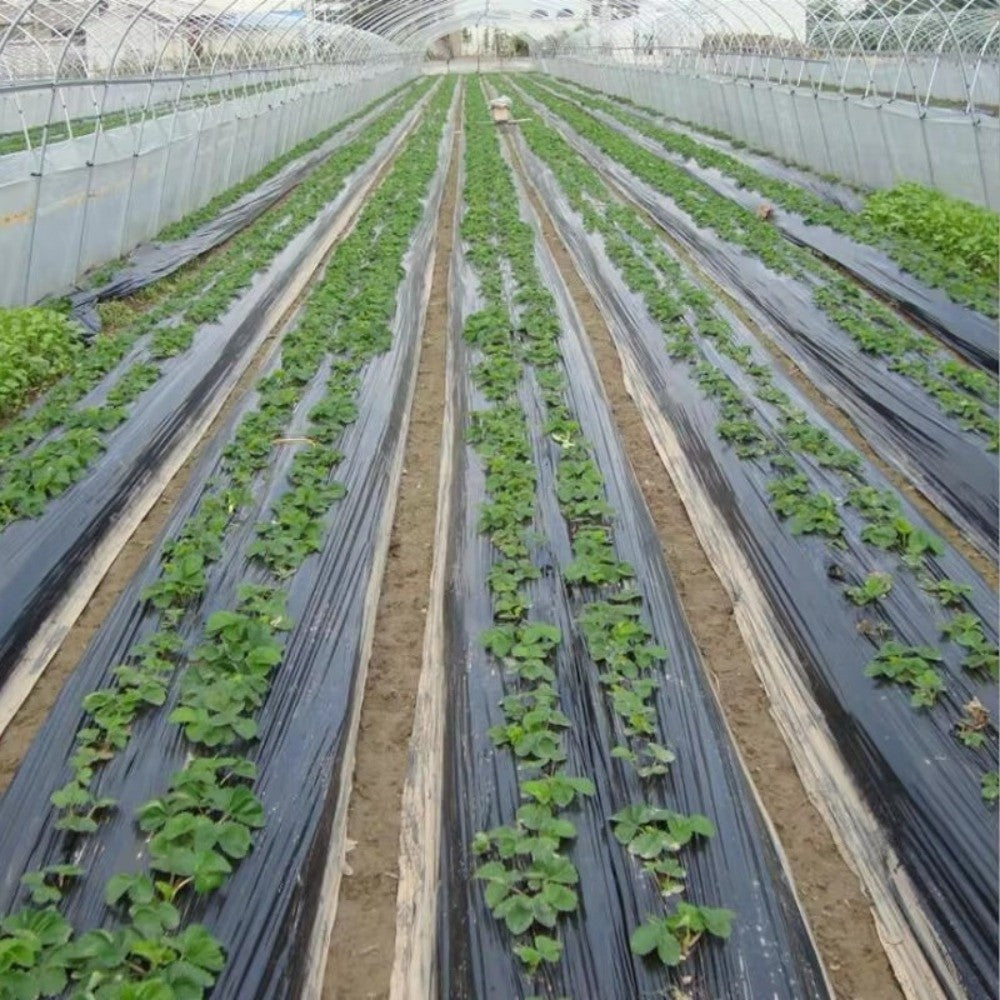 Pre-Punched Holes Perforated Plastic Mulch Film  Agricultural