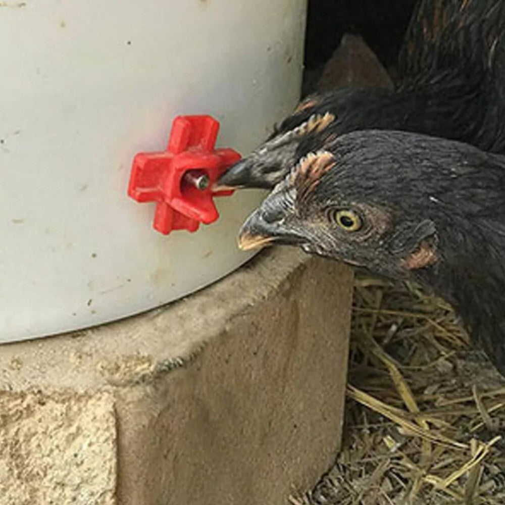 20PCS Horizontal Poultry Water Nipple Auto Waterer Chicken Drinker Fountain AU