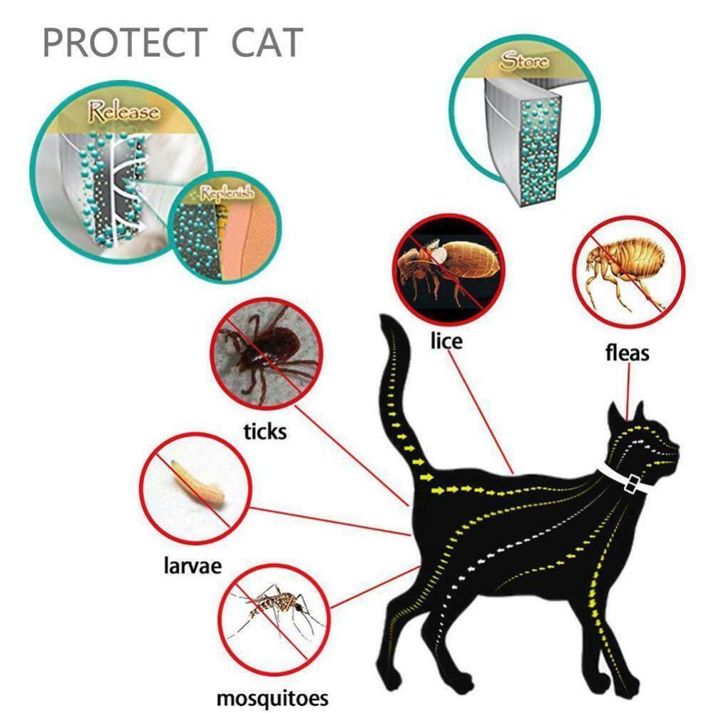 62cm Glow in the dark Collar Dog Cat Ticks & Flea Treatment 8 Months Protection