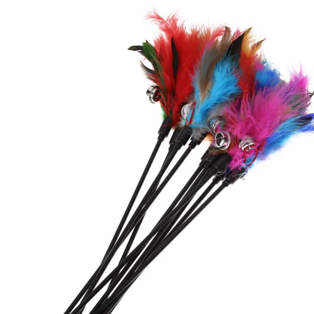 10PCS Kitten Cat Feather Toy Bell Wand Teaser Rod Interactive Play Pet Gift Toys