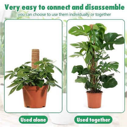 To Grow Upwards Moss Pole 32/42/52cm Plants Climbing Support  Indoor