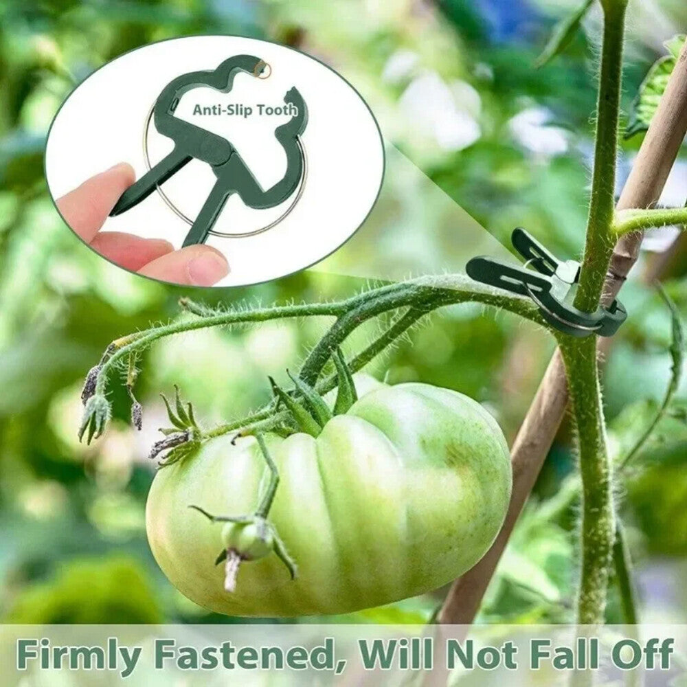 100x Garden Plant Clip Tomato Tie Stem Orchid Support Weatherproof Grow Training