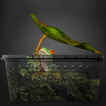 Clear Plastic Reptile Breeder Case Small Enclosure Isopod Bugs Carrier Terrarium