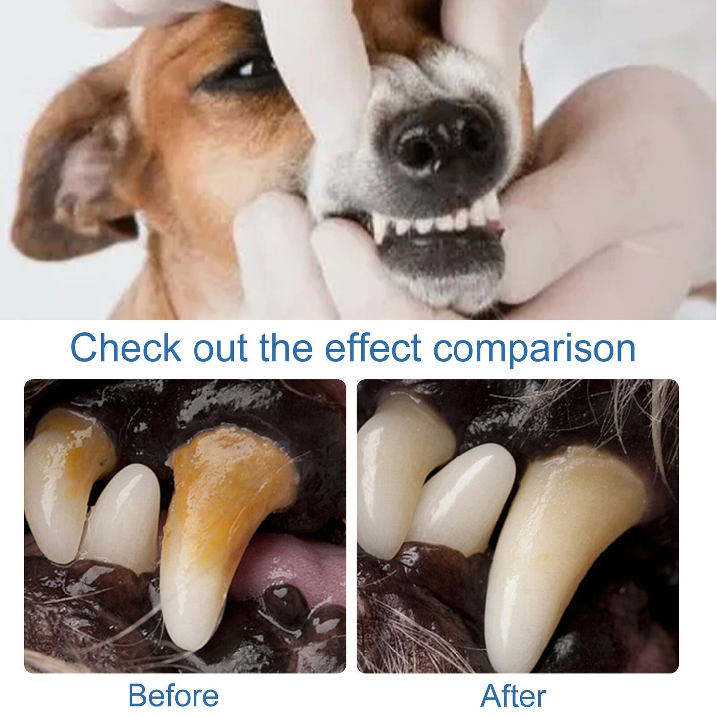 Pet Dogs Dental Tartar Remover Foaming Spray Whitens Teeth Oral Care Cleaner