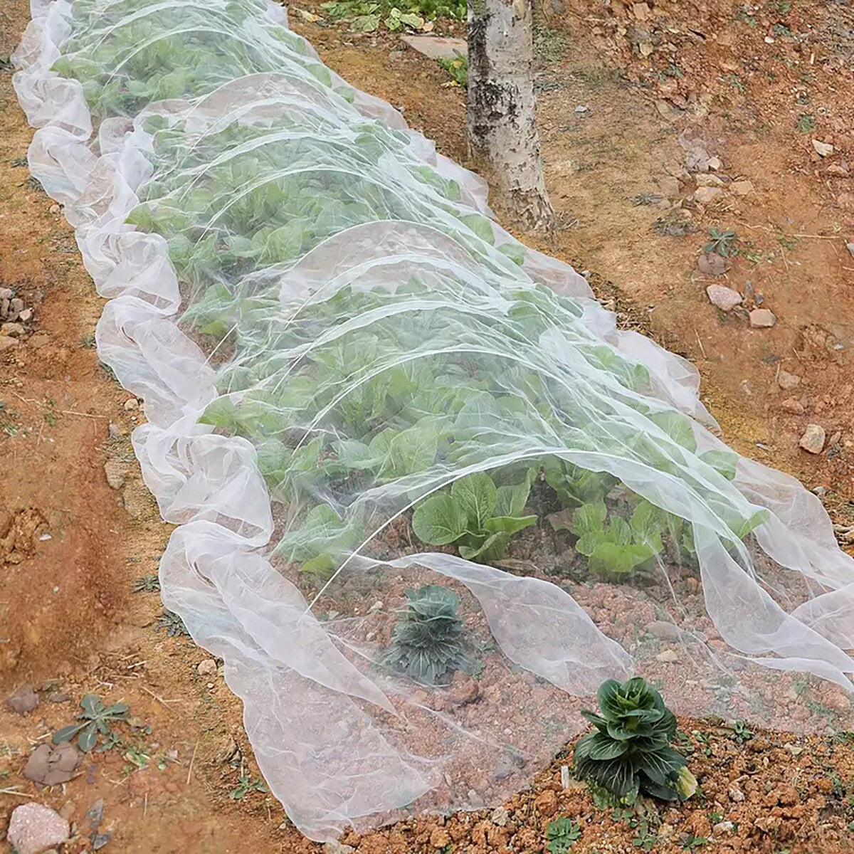 Garden Netting Insect Bug Fly Fruit Mesh Net Vegetable Plant Protection Cover AU