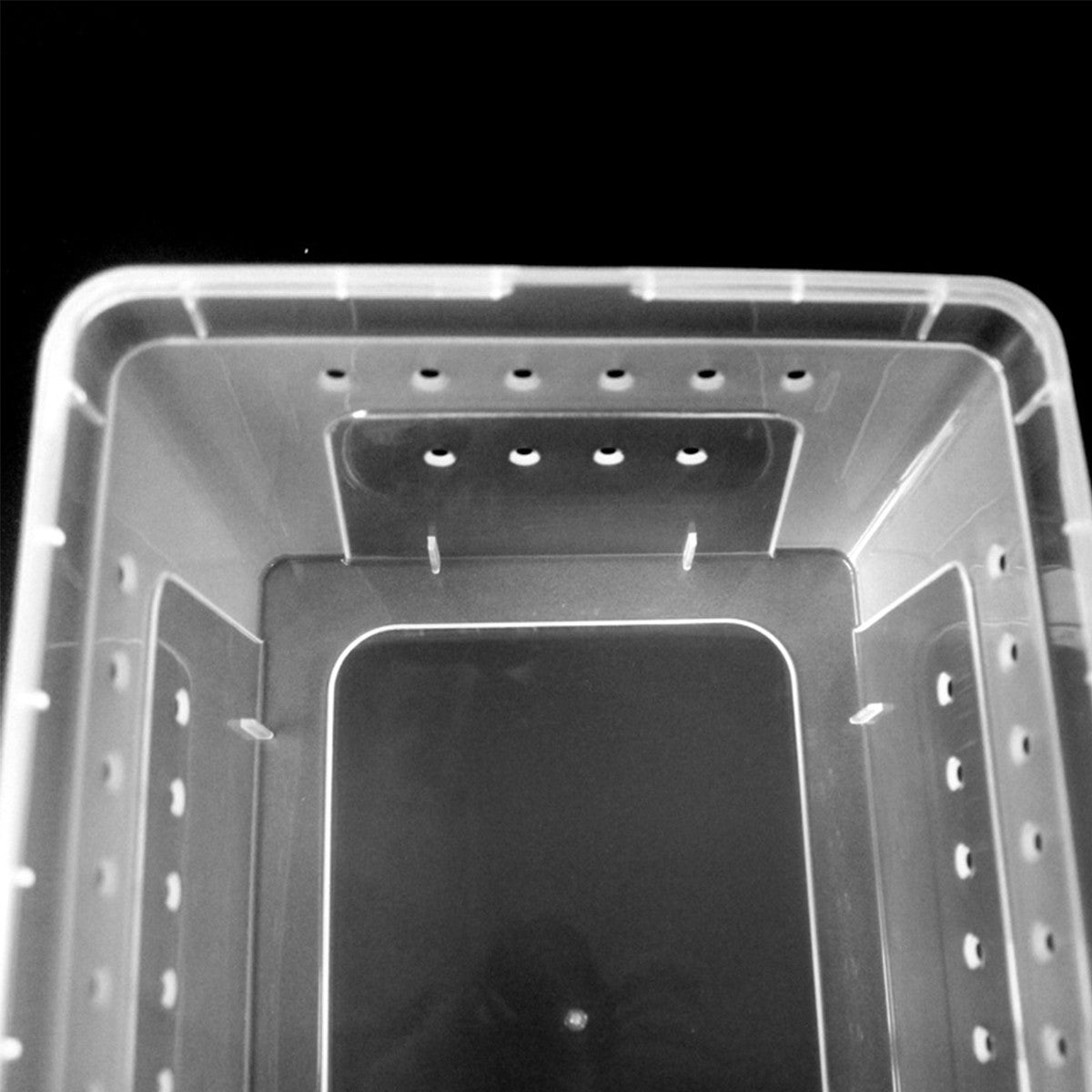 Clear Plastic Reptile Breeder Case Small Enclosure Isopod Bugs Carrier Terrarium